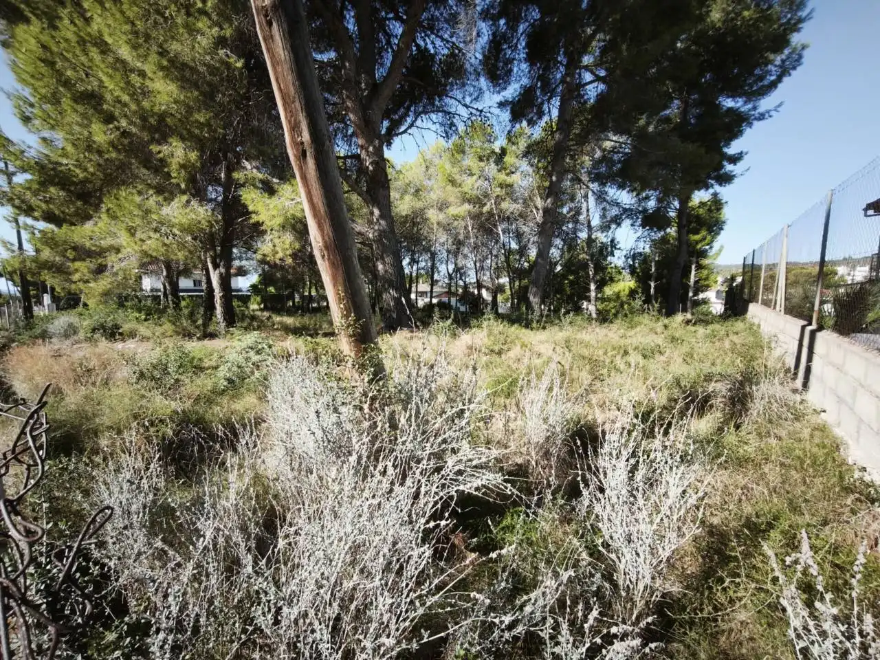 Residential land for sale in Calle Acacias, imagen 12