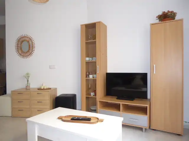 Wohnzimmer von Wohnungen zur Miete in Málaga mit Klimaanlage, Abstellraum und Möbliert