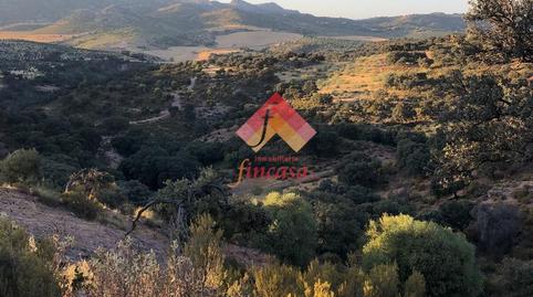 Foto 5 de Finca rústica en venda a San Rafael, Málaga