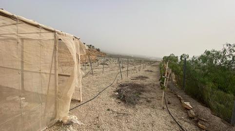 Photo 3 of Residential for sale in Calle Los Valos, El Desierto, Santa Cruz de Tenerife