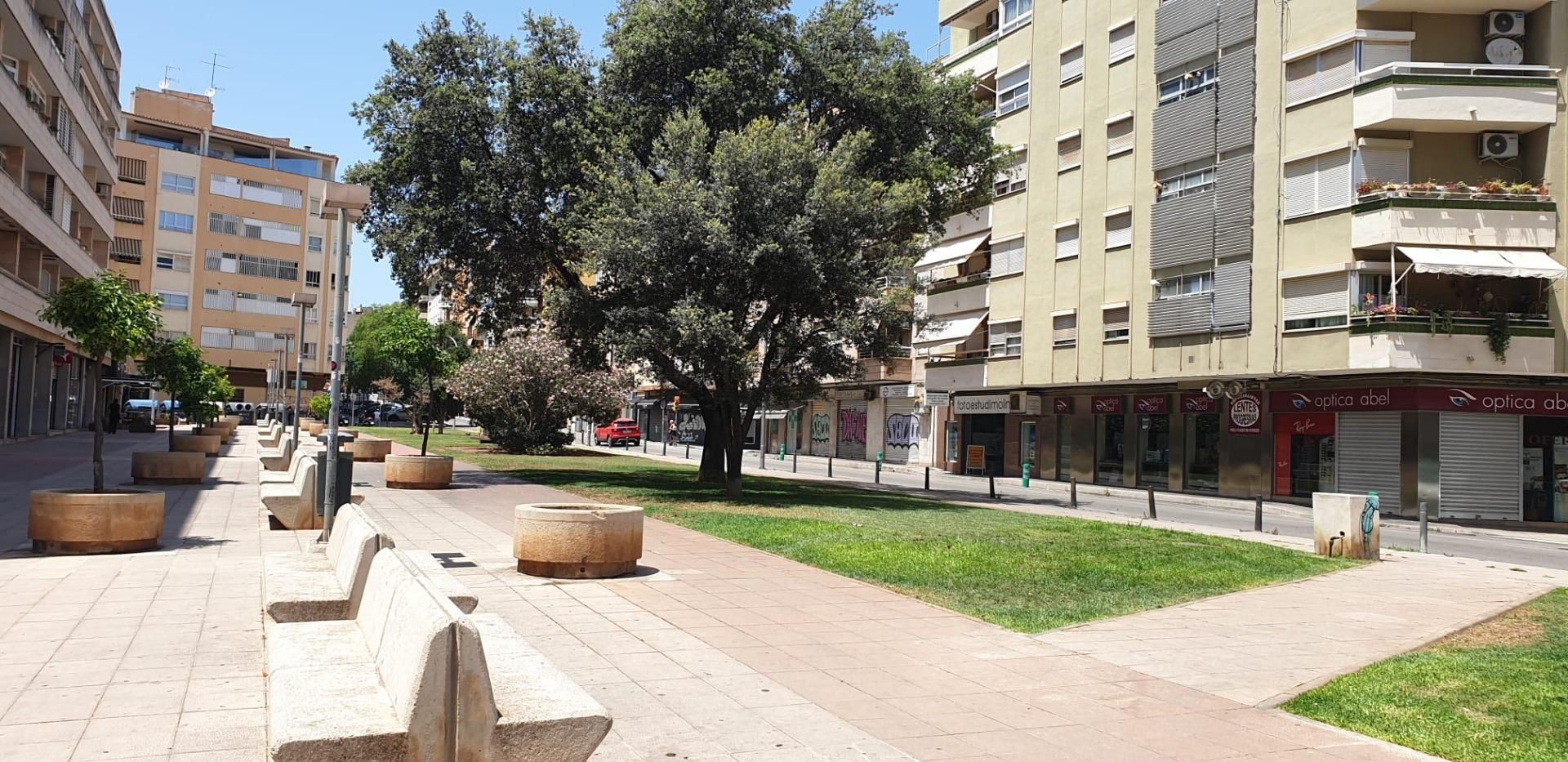 Trastero de alquiler en Carrer de Borguny, Santa Catalina
