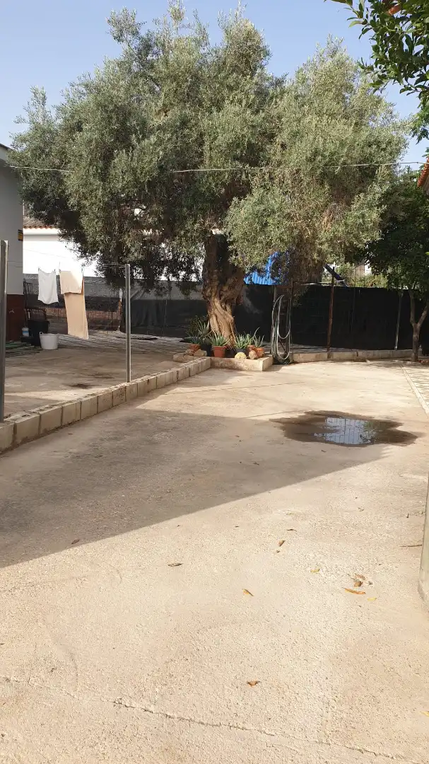 Xalet amb jardí en venda a Urbanización la Hermandad, imagen 45