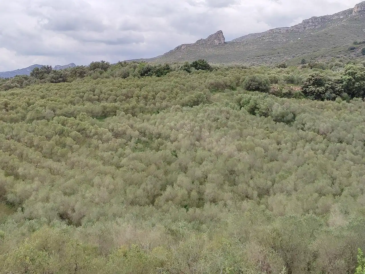 Finca rústica en venta en La Sénia con Terraza