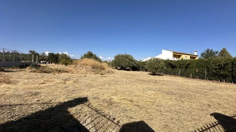 SE VENDE SOLAR ZONA EL CAMPILLO, immagine 3