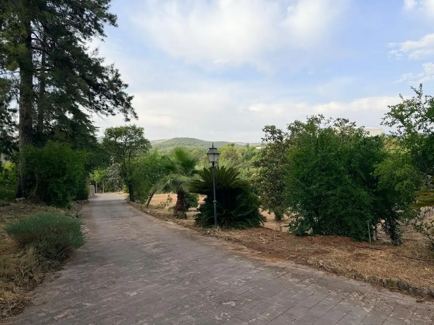 Villa avec piscine à vendre à Albaida, imagen 53