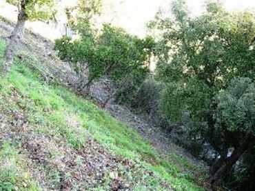 Terreno rústico en venta en Carrer de les Orenetes