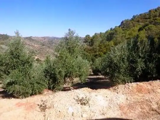 Terreni e lotti in vendita a Villanueva del Arzobispo