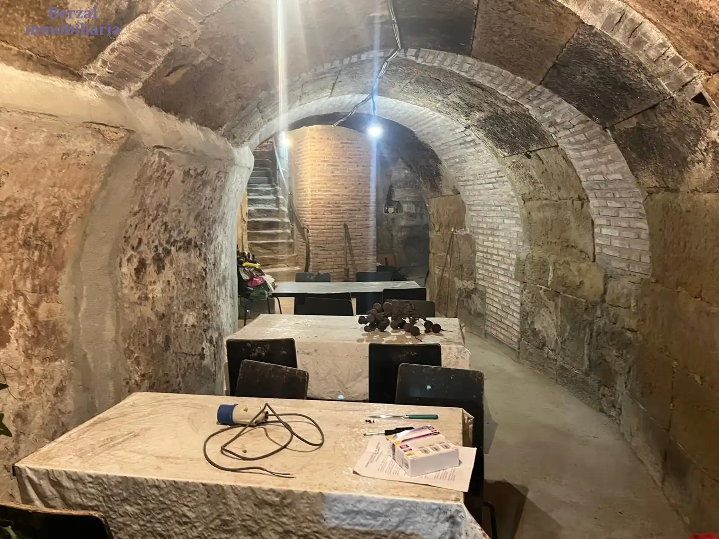 Commercial properties for sale in Baños de Ebro / Mañueta
