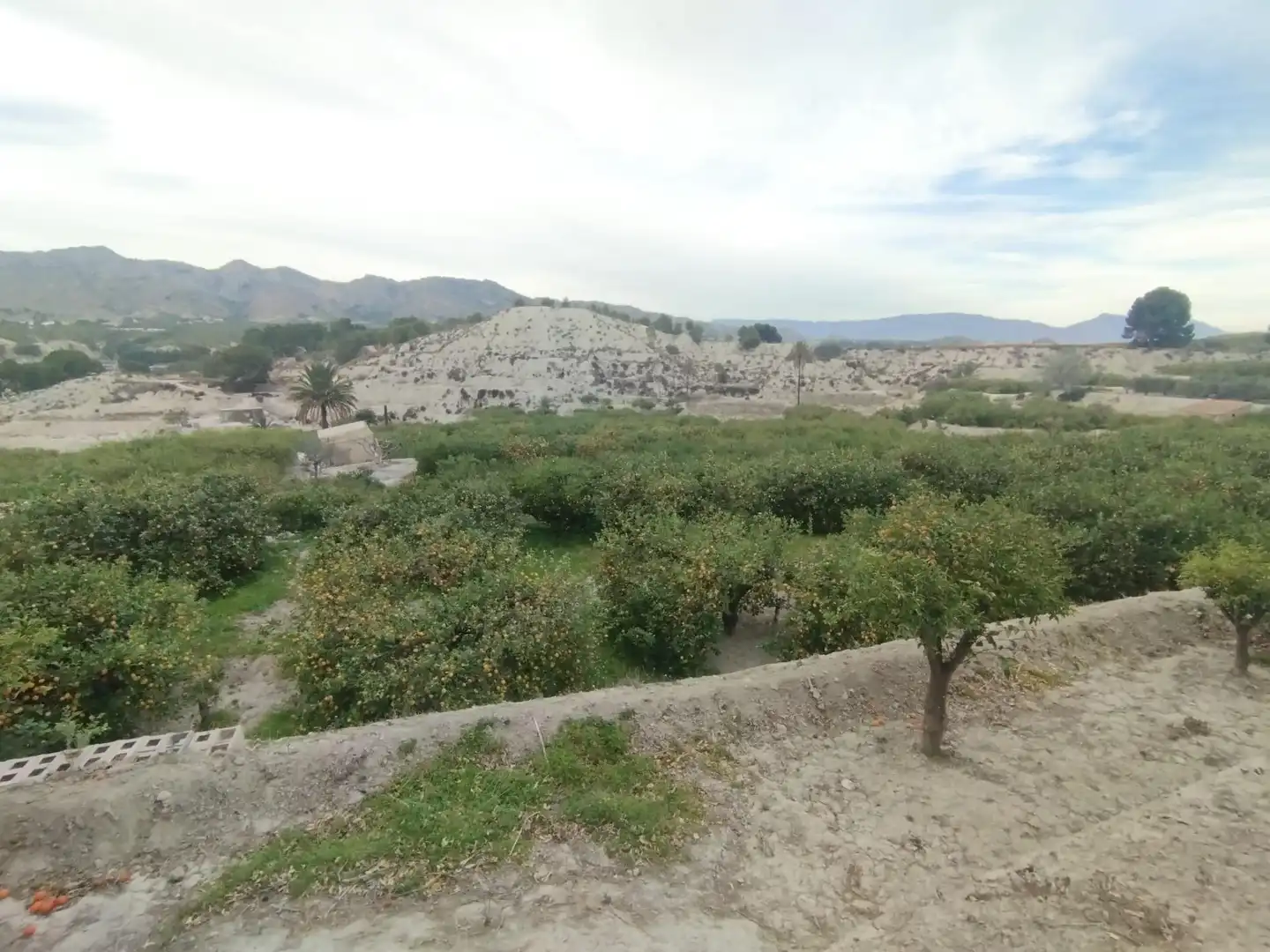 Terreno en venta en Ulea
