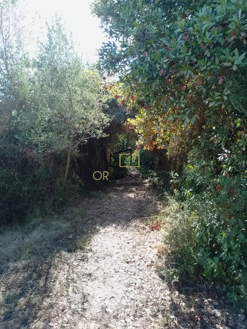 Casa con giardino in vendita a Mediona, imagen 29