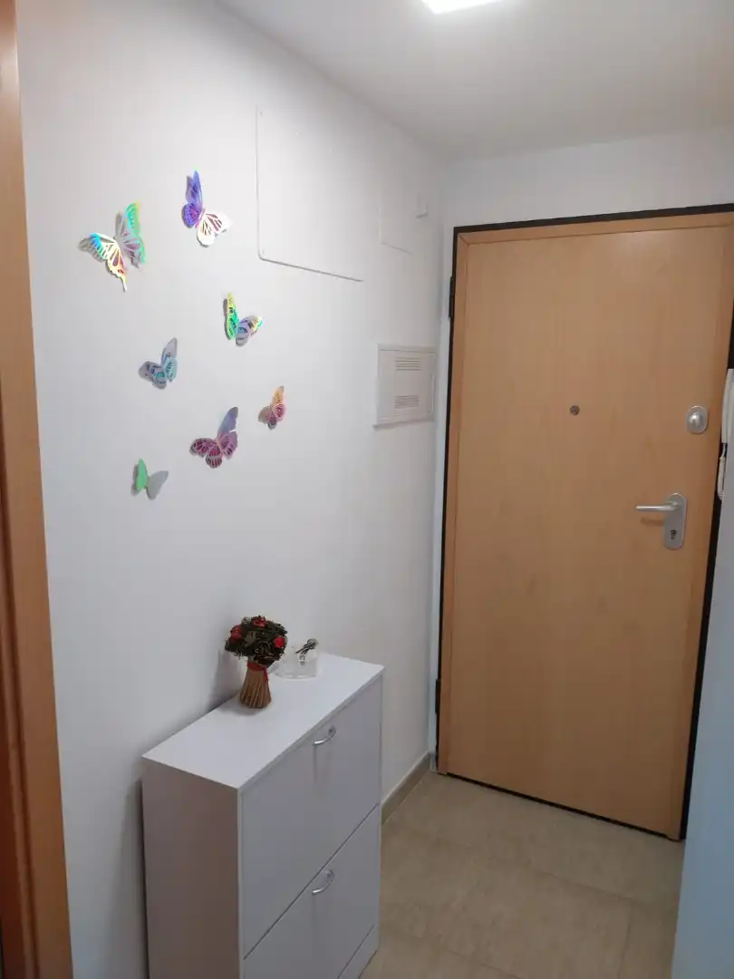 Flat with lift for sale in Carrer Hernán Cortés, imagen 35