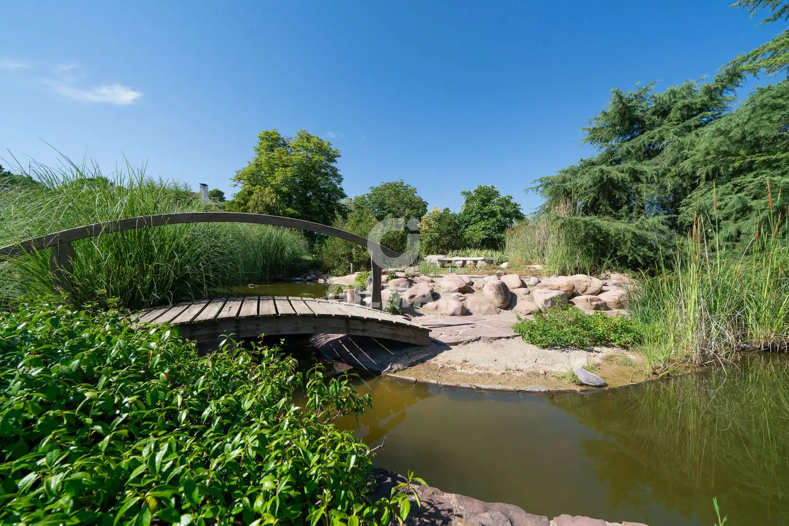 Jardín de Casa o chalet en venta en Algete con Piscina