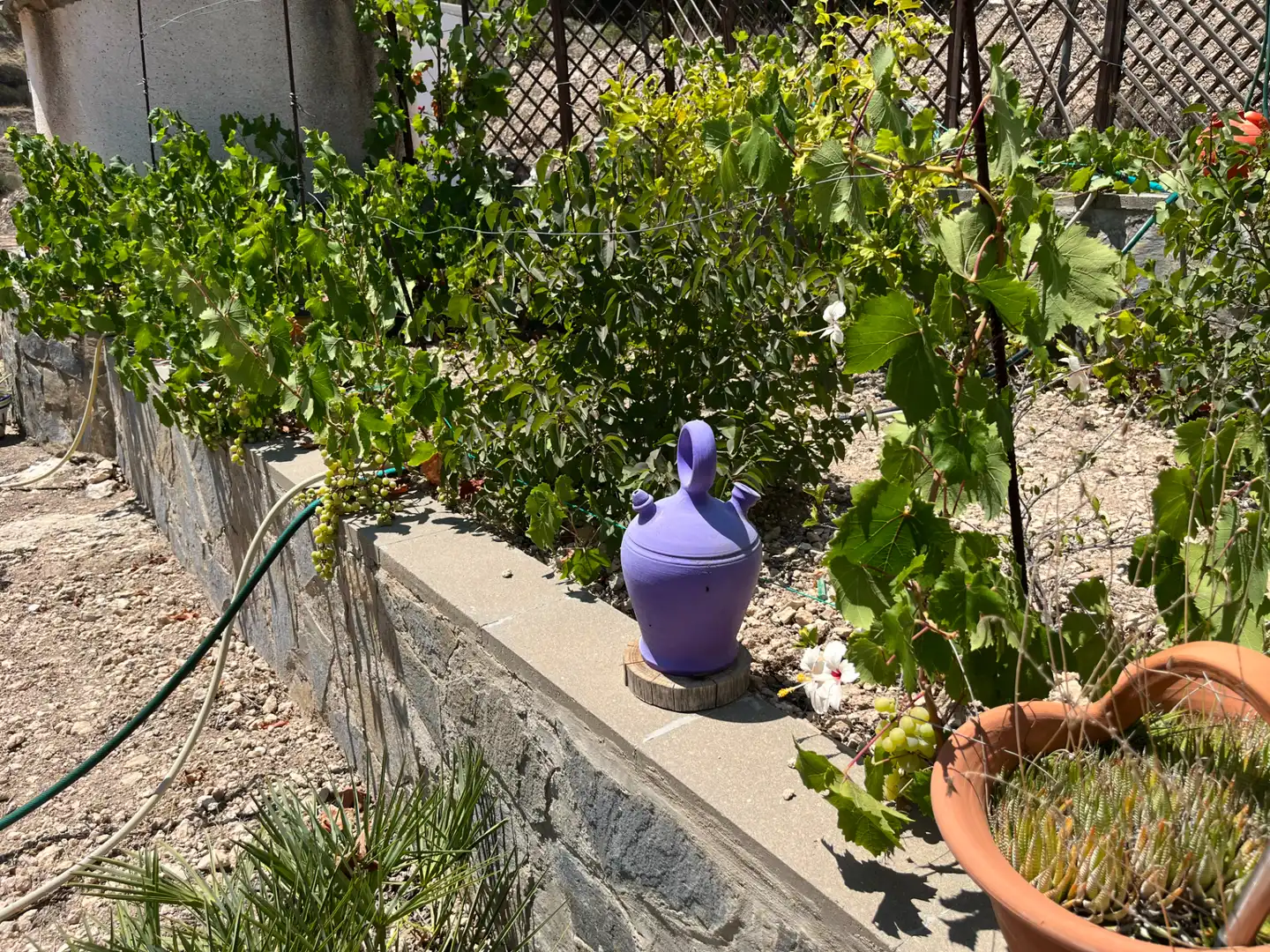 Jardín de Casa o chalet en venta en Jijona / Xixona