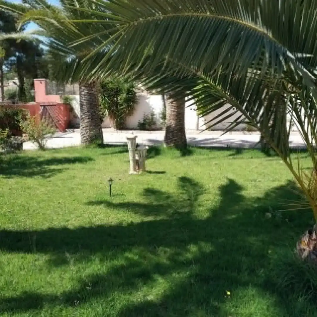 Jardín de Casa o chalet en venta en Novelda con Aire acondicionado, Calefacción y Jardín privado