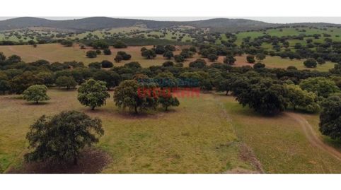 Foto 5 de Finca rústica en venta en Hornachos, Badajoz