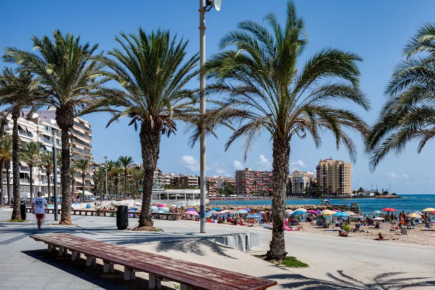 Vista exterior de Planta baixa en venda en Torrevieja amb Terrassa