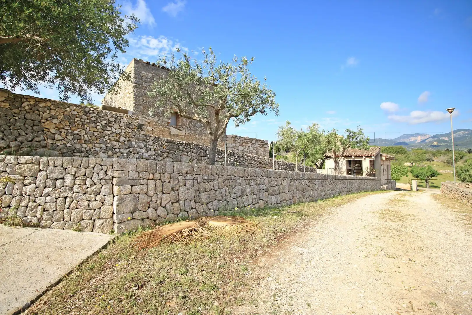 Vista exterior de Casa o chalet en venta en Selva con Terraza y Piscina