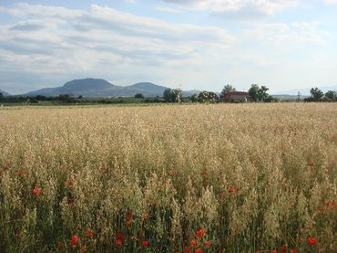 Rustikales Grundstück zum Verkauf in Villamediana de Iregua