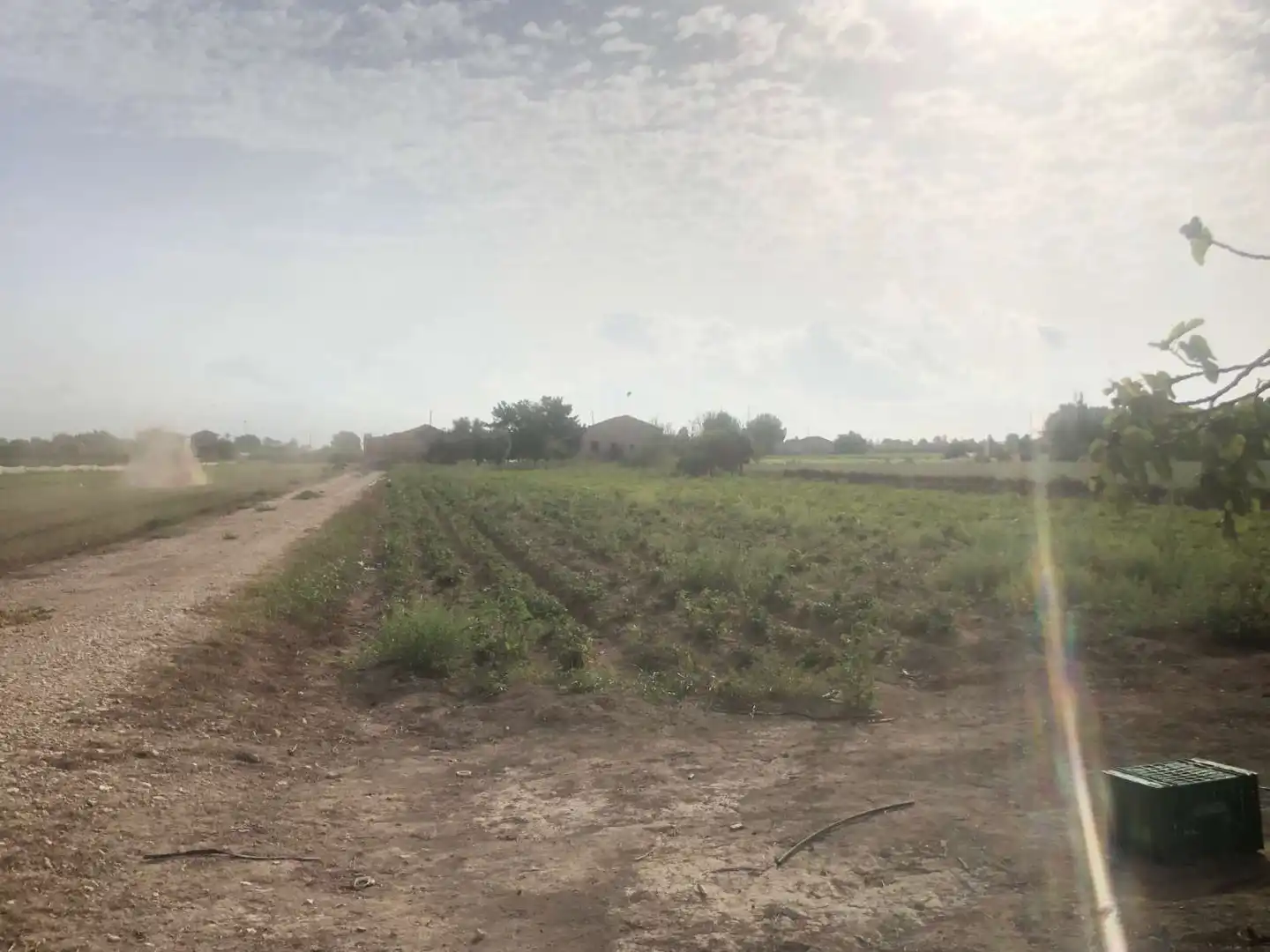 Terreny industrial en venda en Callosa de Segura
