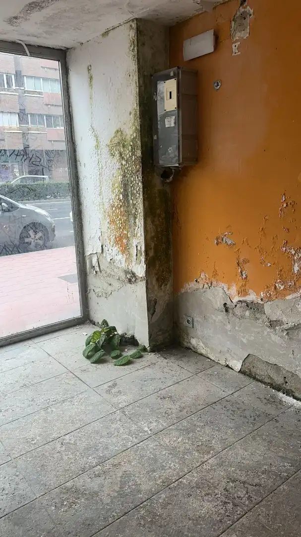 Local en venda en Valladolid
