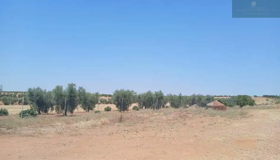 Finca rústica en venta en Cristina