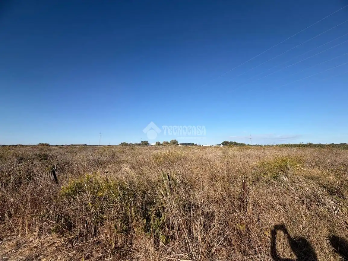 Terreno rústico en venta en Los Franceses – La Vega, imagen 13