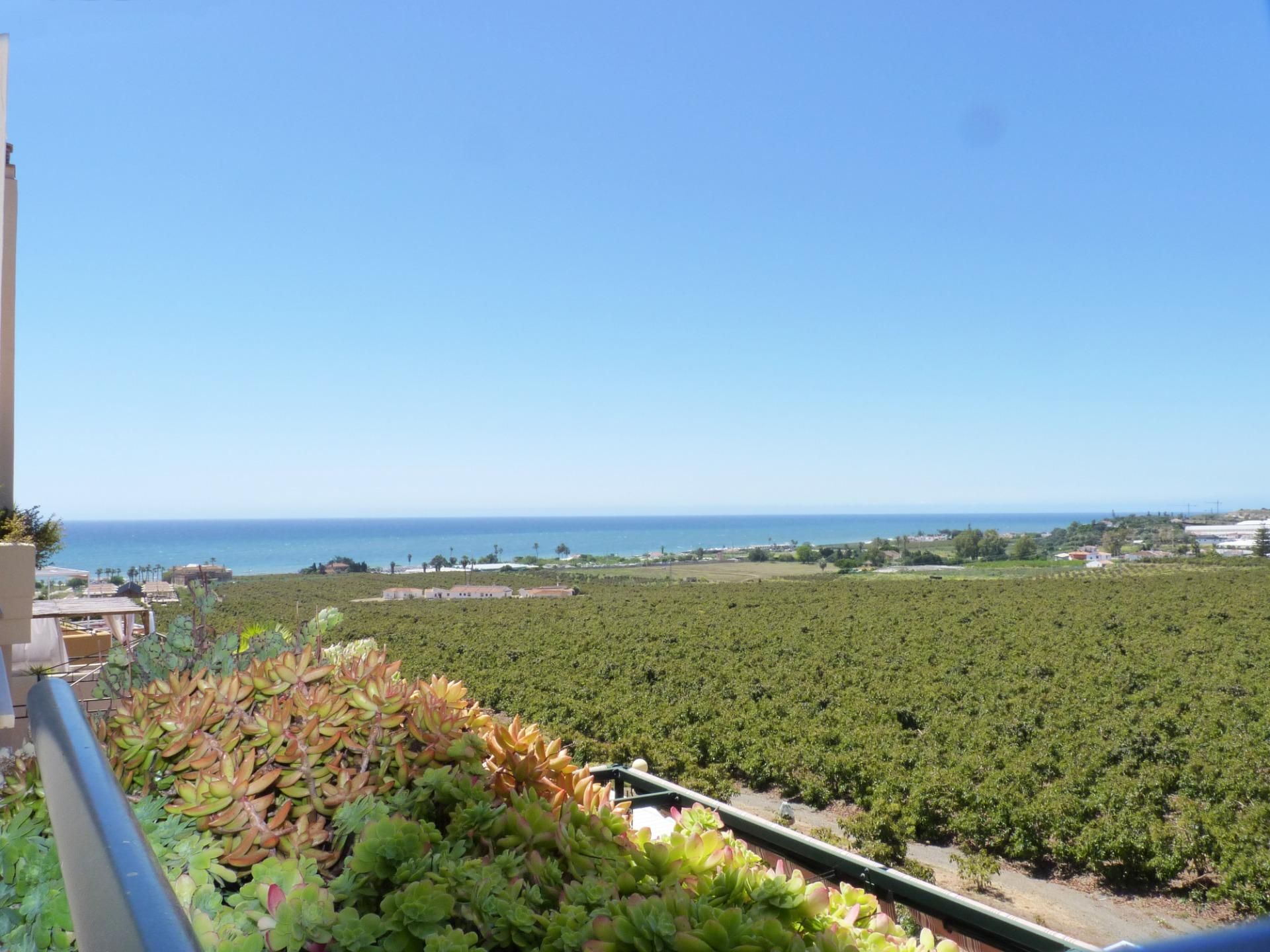 Garden of Duplex for sale in Vélez-Málaga  with Air Conditioner, Heating and Private garden