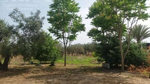 Foto 3 de Finca rústica en venta en Almonte ciudad, Almonte