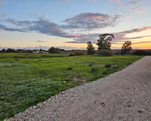 Land for sale in Chiclana de la Frontera