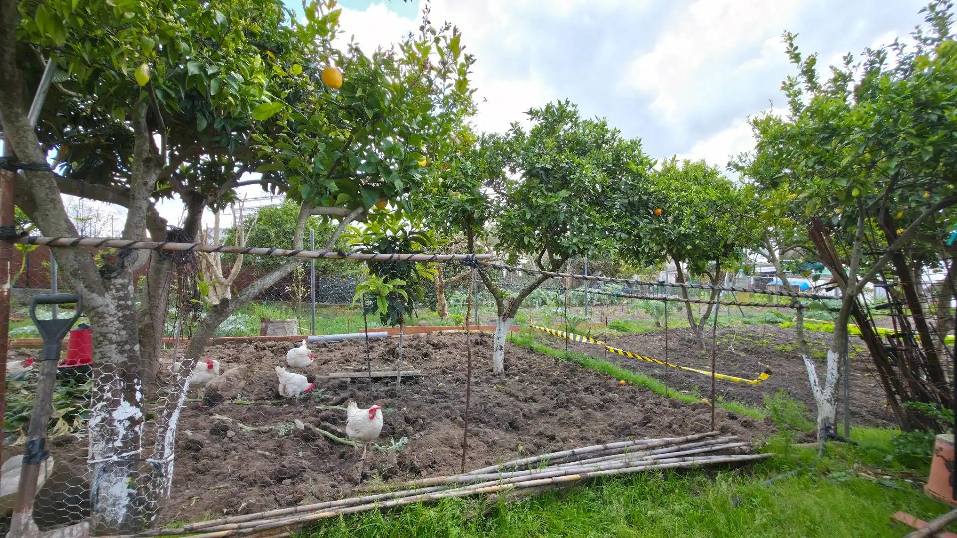 Garden of Houses for sale in Arcos de la Frontera  with Private garden and Storage room