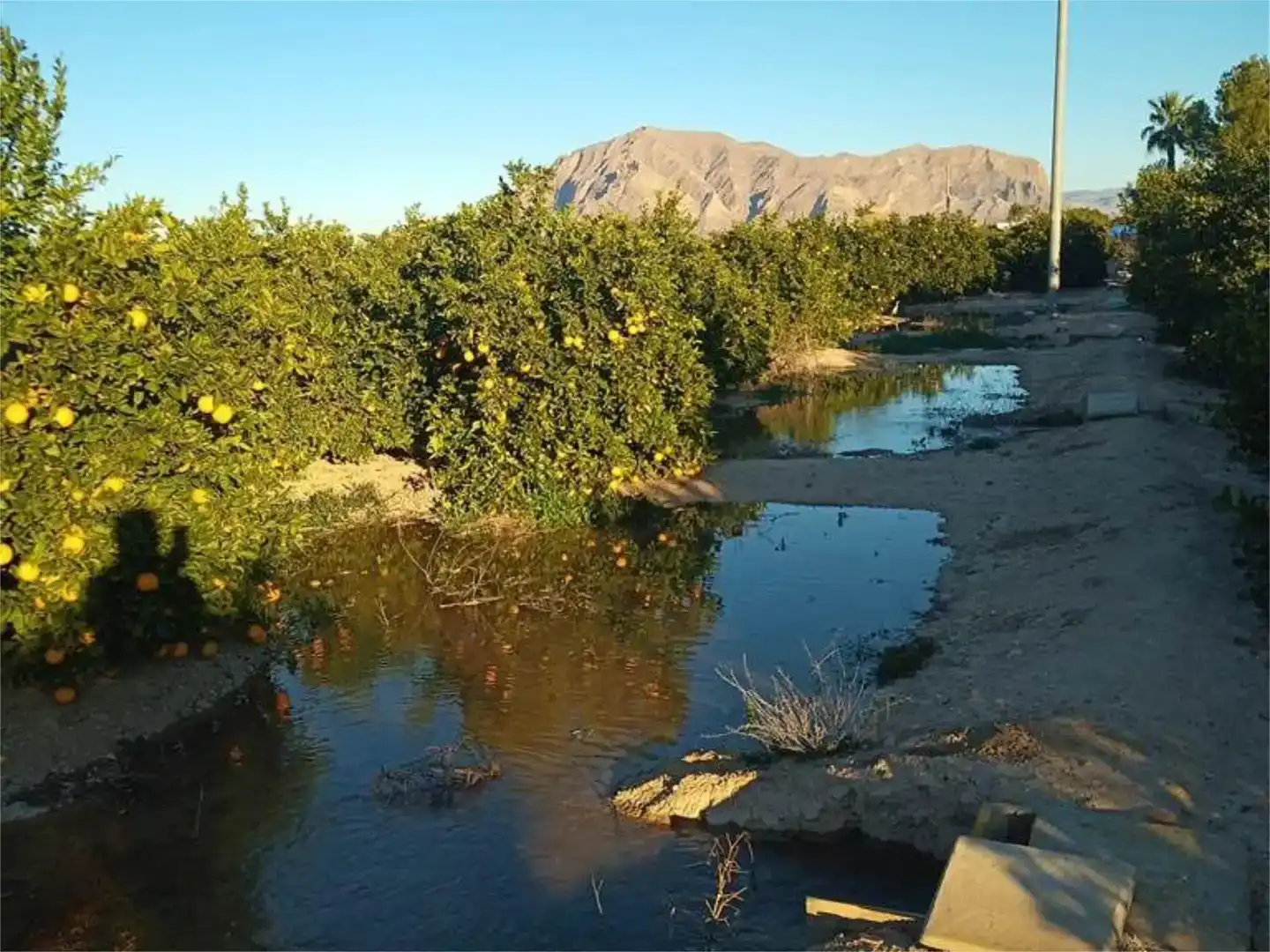Vista exterior de Terreno en venta en Orihuela