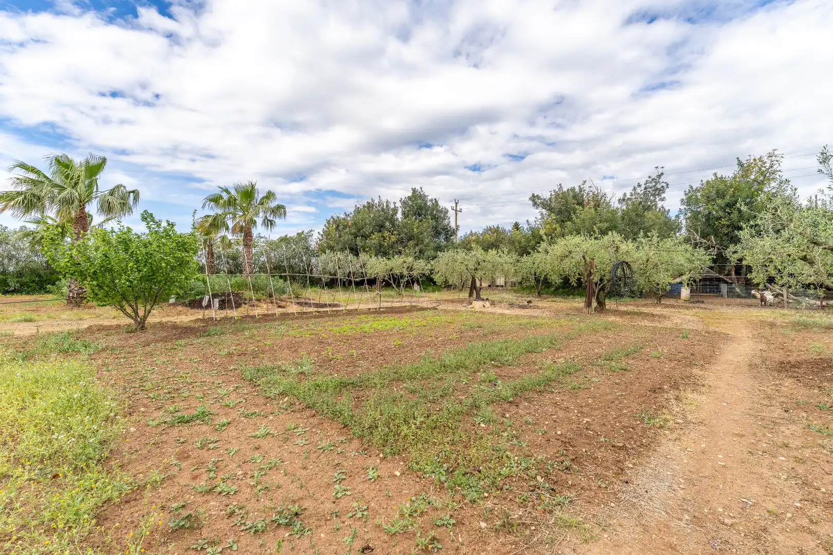 Casa o xalet en venda en Reus amb Calefacció, Jardí privat i Terrassa