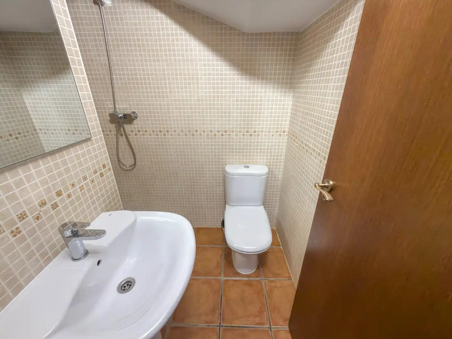 Baño de Casa o chalet en venta en Algorfa con Jardín privado, Terraza y Balcón
