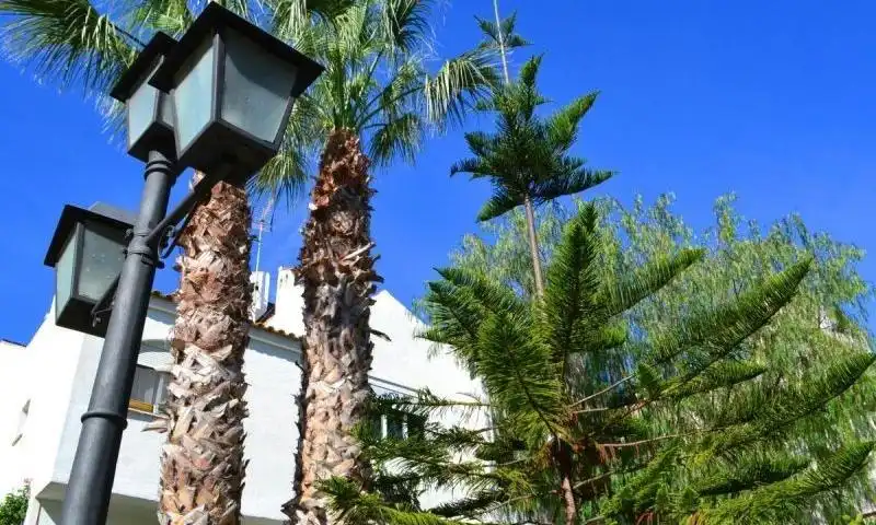 Vista exterior de Casa o chalet en venta en Santa Pola con Aire acondicionado, Calefacción y Jardín privado
