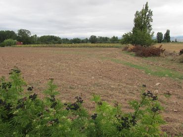 Terreno rustico in vendita a Camino Polígono 13