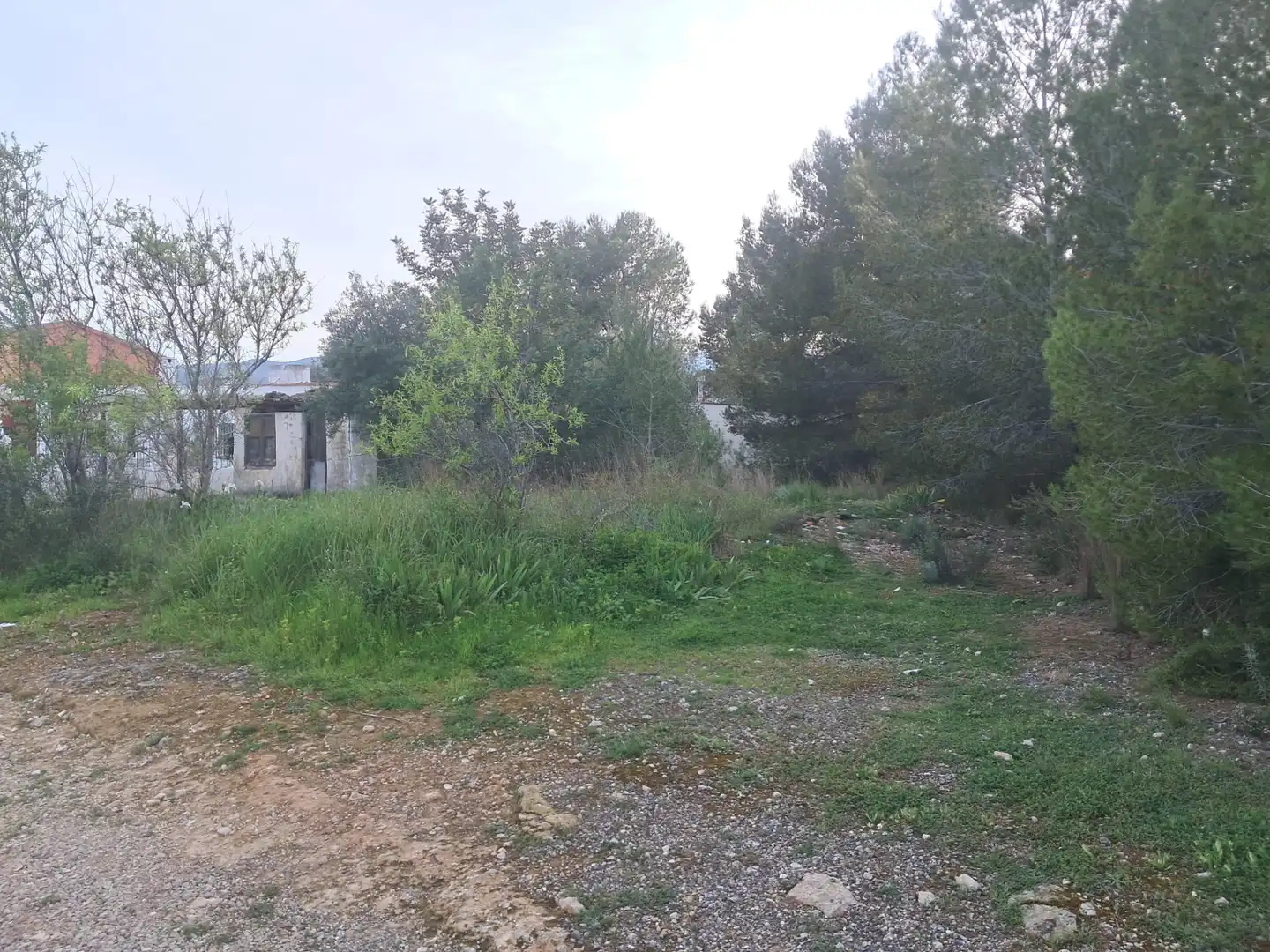 Houses for sale in Real  with Private garden, Terrace and Swimming Pool