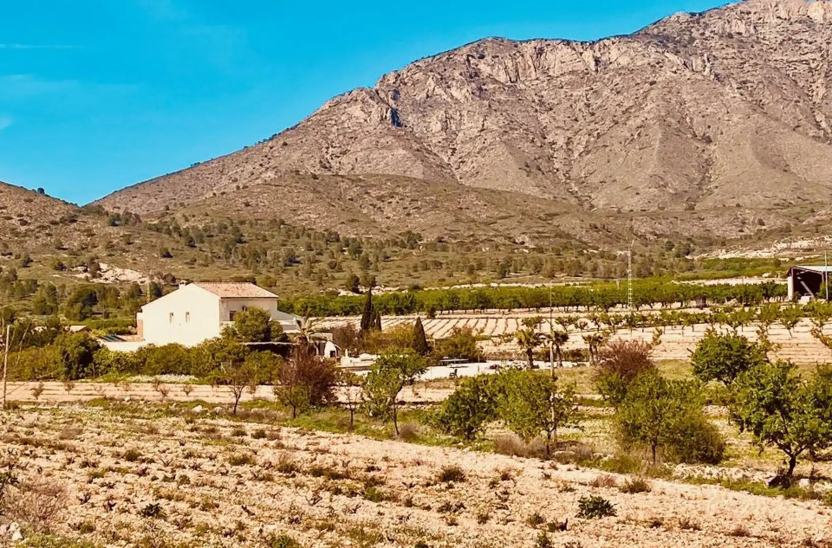 Casa rústica en venda a Abanilla, imagen 7