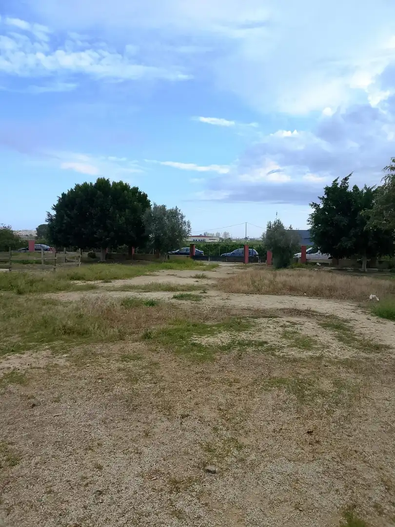 Finca rústica en venta en Daya Nueva