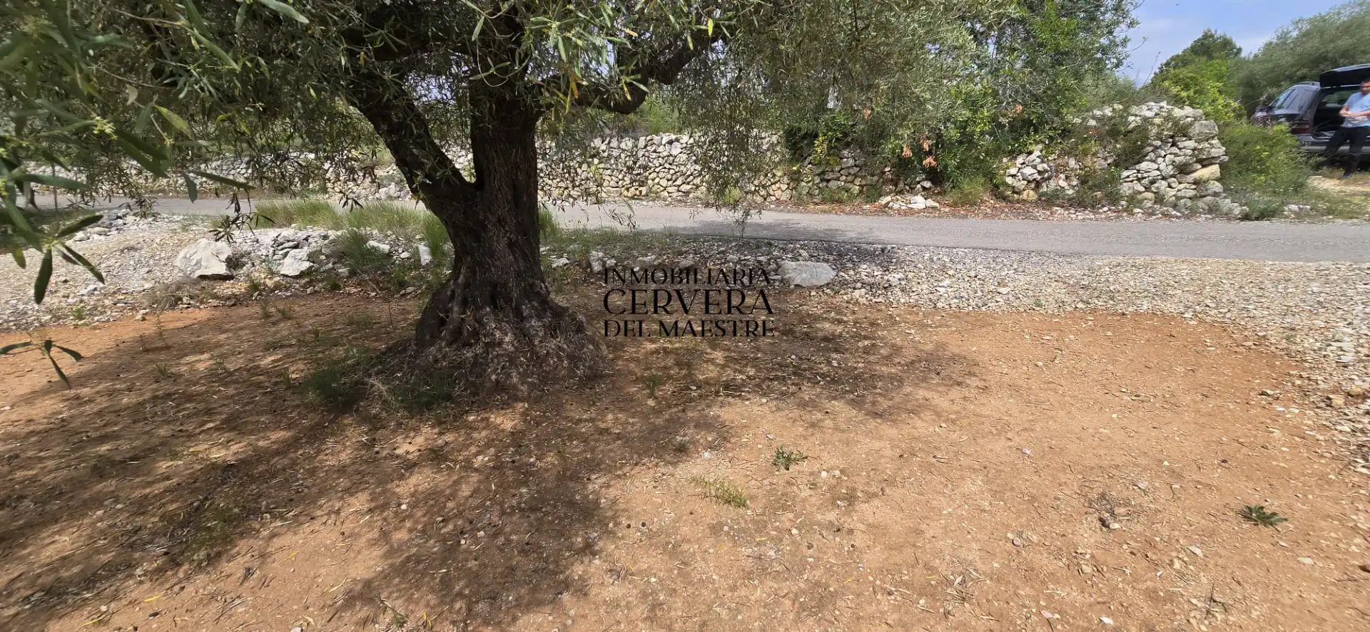 Terreno rustico in vendita a Cervera del Maestre, imagen 11