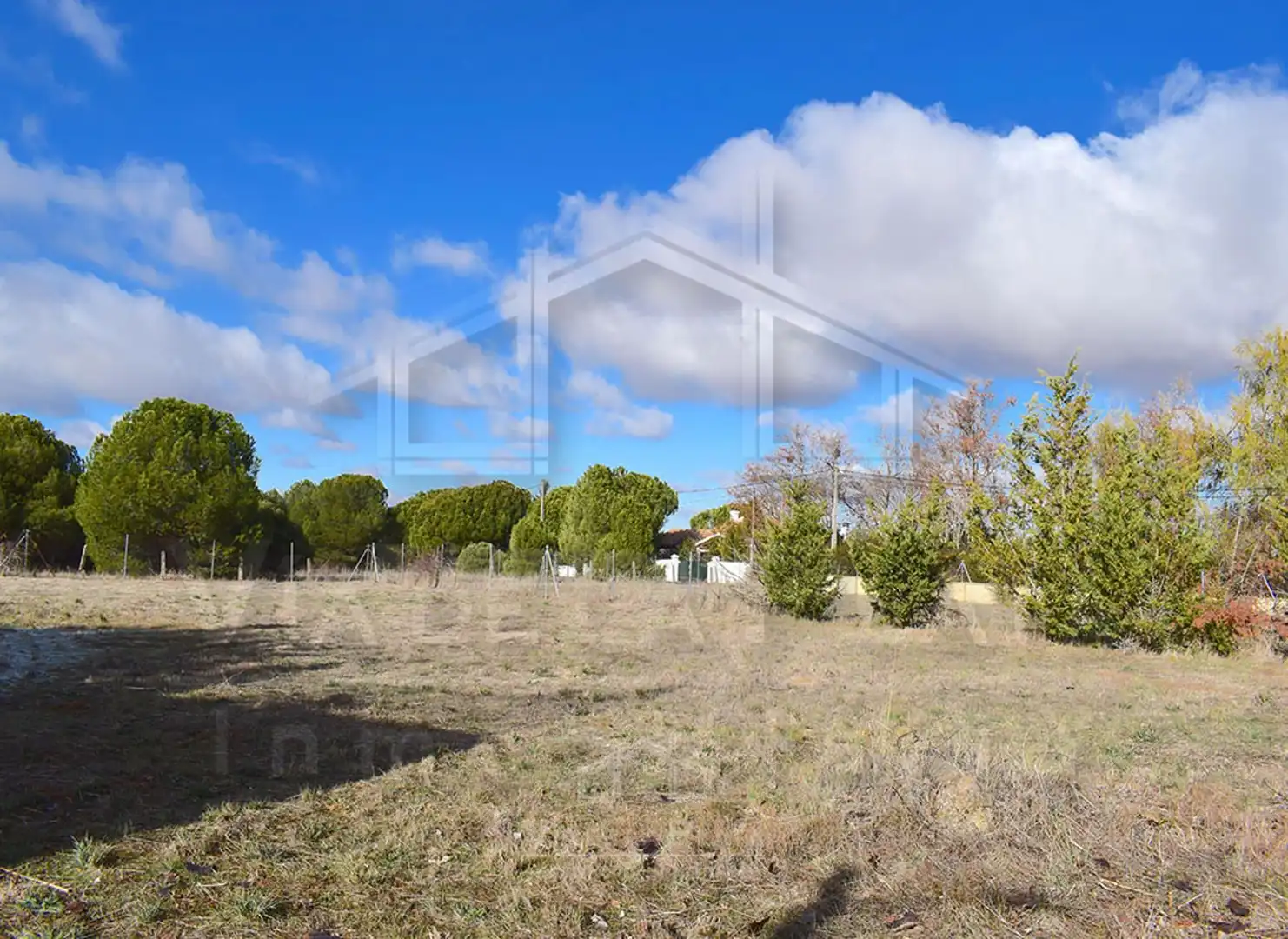 Terreno rustico in vendita a n.º 38, imagen 4