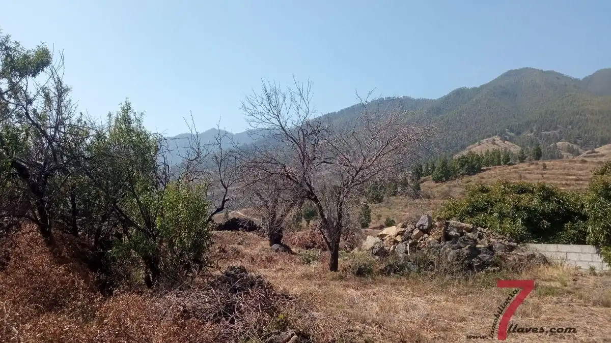 Finca rústica en venta en Santa Cruz de la Palma