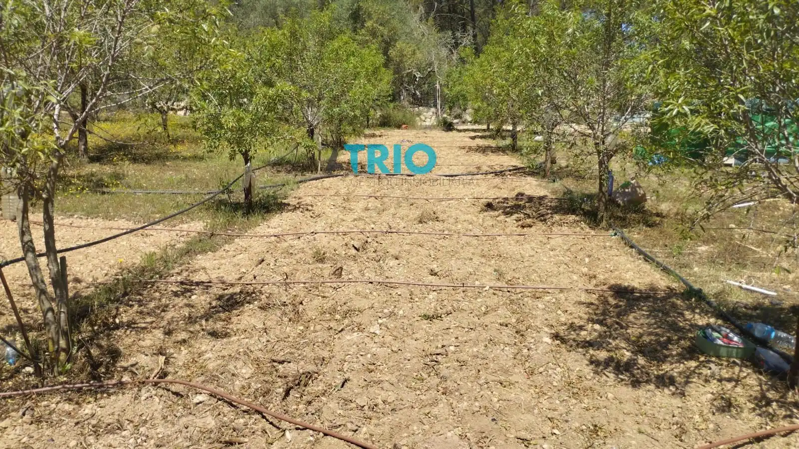 Terreno rustico in vendita a Algaida, imagen 5