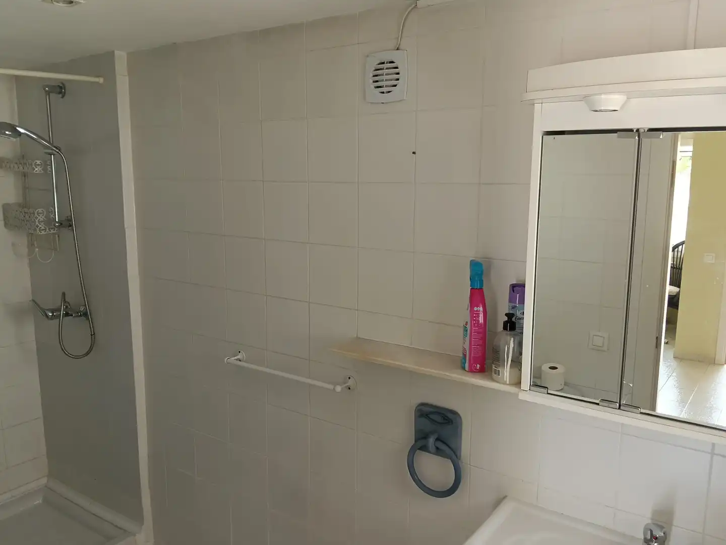 Bany de Casa o xalet en venda en Empuriabrava amb Aire condicionat, Calefacció i Jardí privat