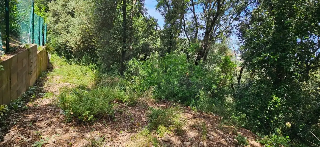 Terreny residencial en venda a Sa Riera - Sa Fontansa, imagen 8