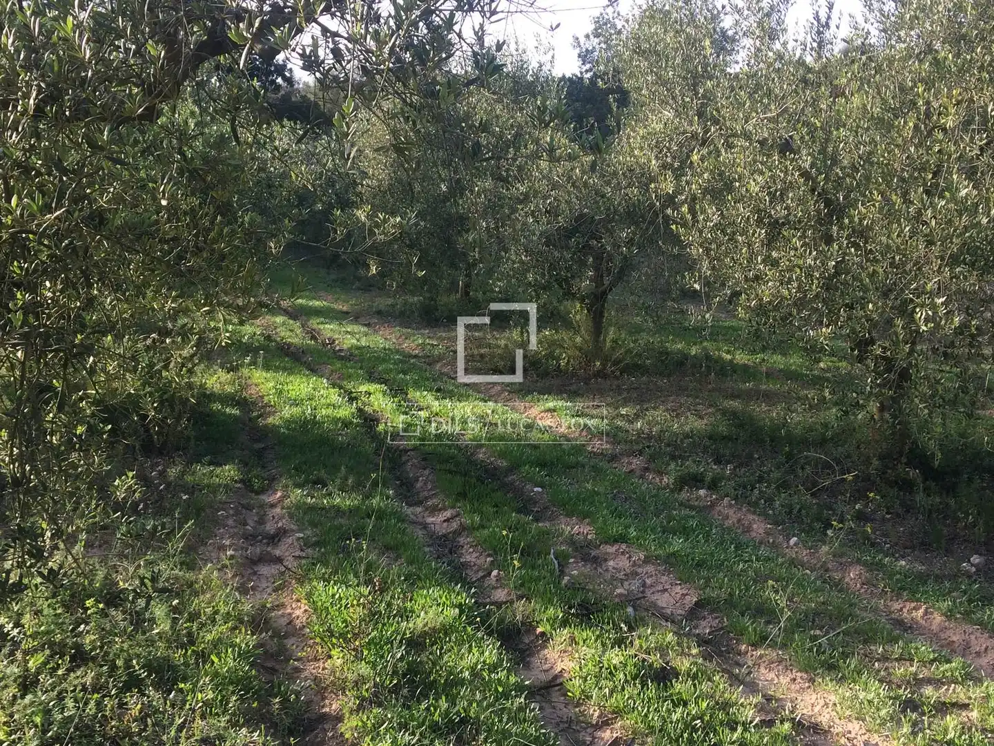 Casa rustica in vendita a Castellet i la Gornal, imagen 8