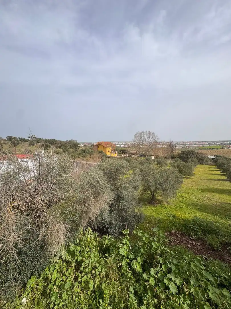 Casa o xalet en venda en Mérida amb Aire condicionat, Calefacció i Jardí privat