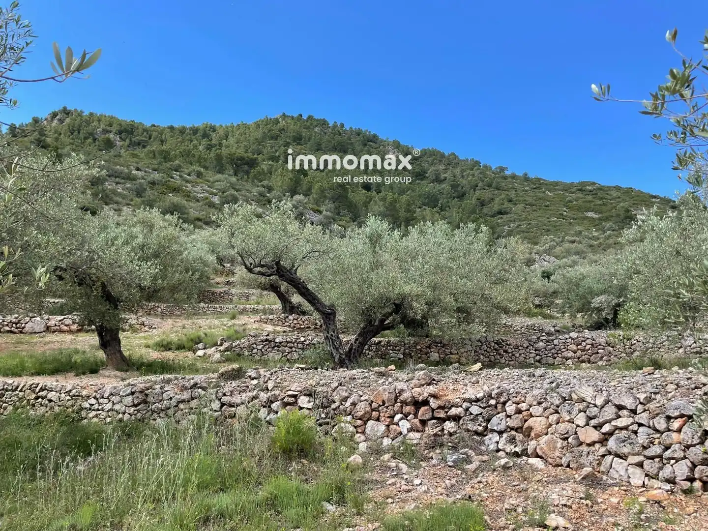 Residential land for sale in 3, imagen 28