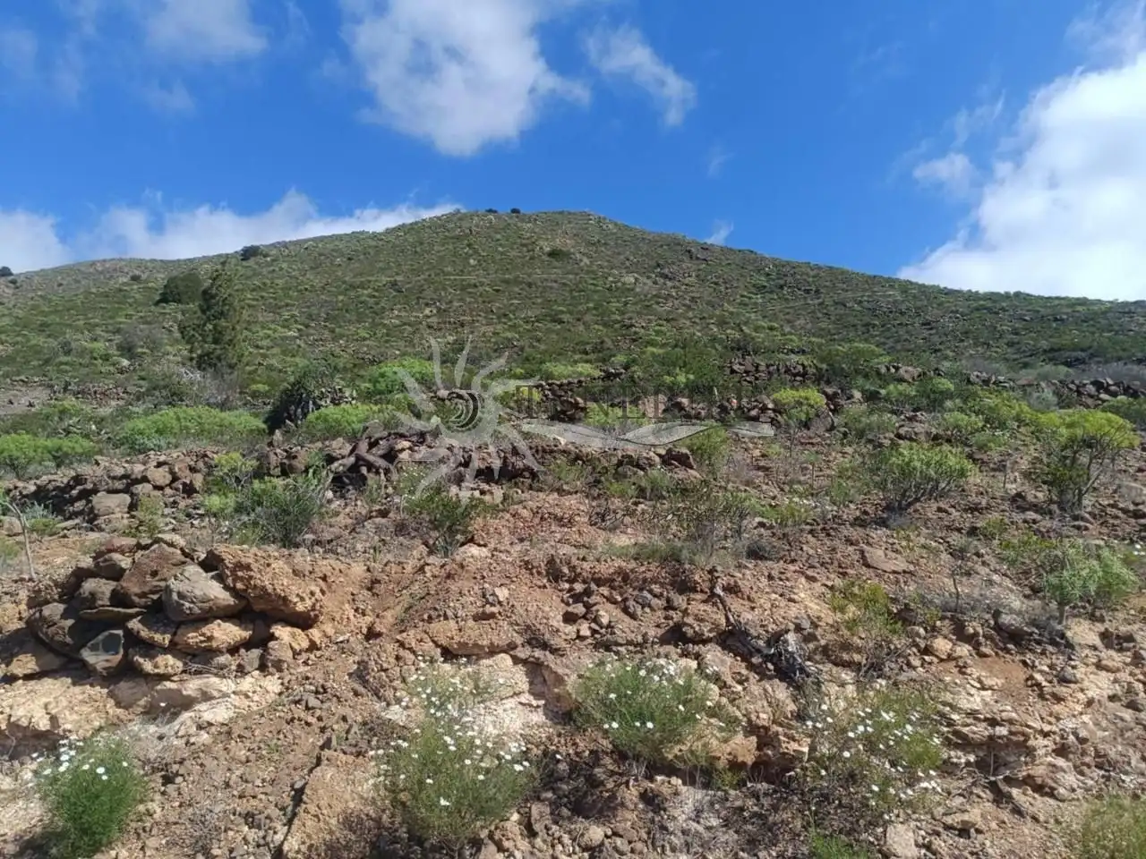 Rural land for sale in Al Monte, imagen 5
