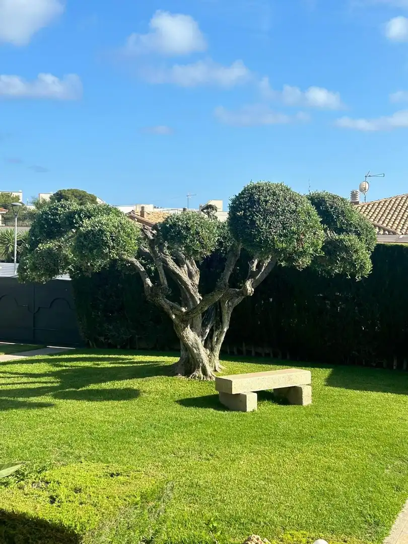 Villa avec piscine à vendre à JOAN PI I MARGALL, imagen 14