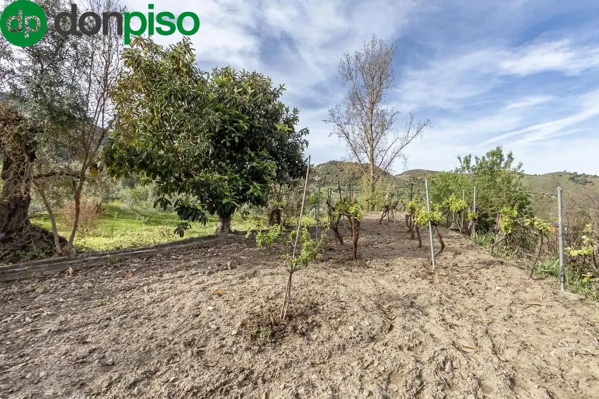 Finca rústica en venda en Monachil